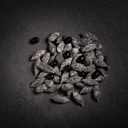 Grignottes aux olives noires de Nyons AOP - TONTON DE L'APERO